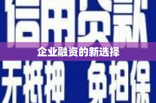 汉源企业融资的新选择