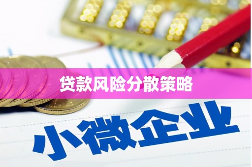 汉源贷款风险分散策略