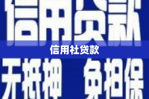 汉源信用社贷款