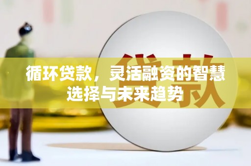 汉源循环贷款，灵活融资的智慧选择与未来趋势
