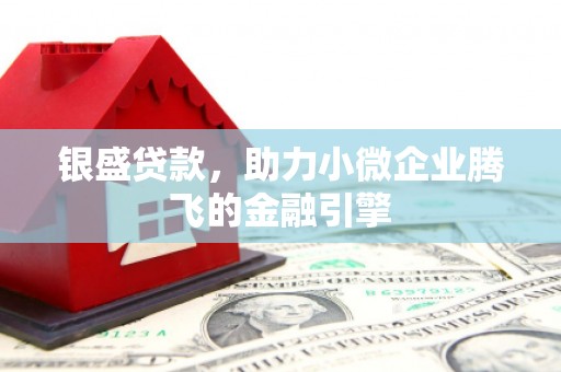 汉源银盛贷款，助力小微企业腾飞的金融引擎