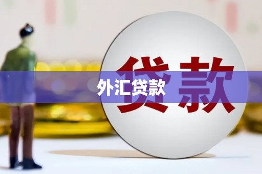 汉源外汇贷款