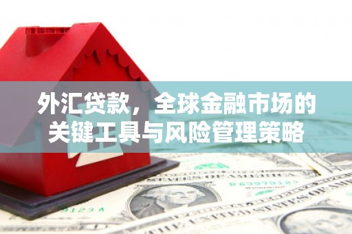 汉源外汇贷款，全球金融市场的关键工具与风险管理策略