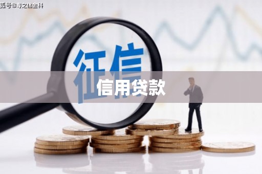 汉源信用贷款