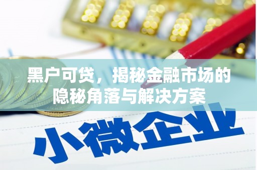 汉源黑户可贷，揭秘金融市场的隐秘角落与解决方案