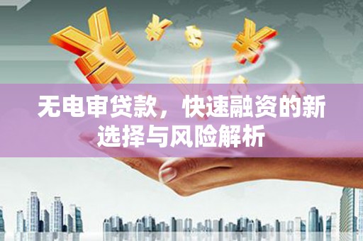 汉源无电审贷款，快速融资的新选择与风险解析