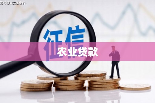 汉源农业贷款