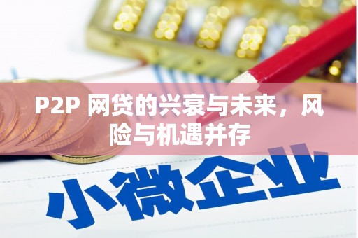 汉源P2P 网贷的兴衰与未来，风险与机遇并存