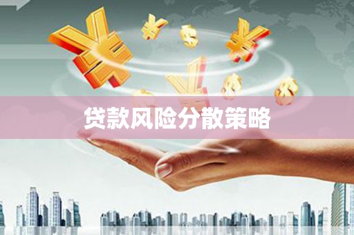汉源贷款风险分散策略