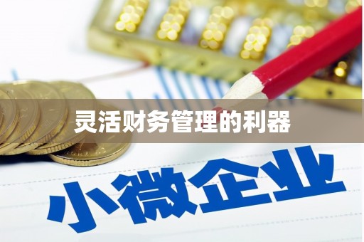 汉源灵活财务管理的利器