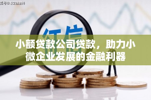 汉源小额贷款公司贷款，助力小微企业发展的金融利器