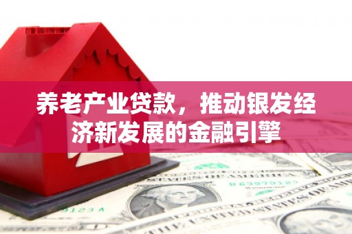 汉源养老产业贷款，推动银发经济新发展的金融引擎