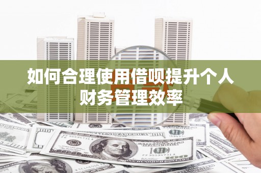 汉源如何合理使用借呗提升个人财务管理效率