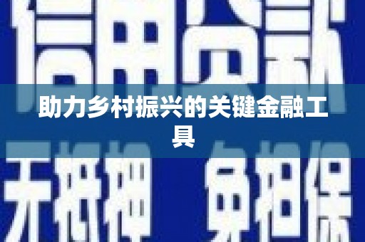 汉源助力乡村振兴的关键金融工具