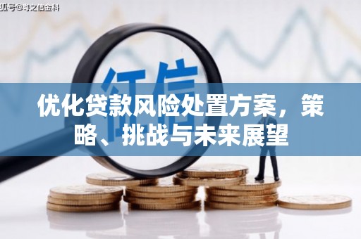 汉源优化贷款风险处置方案，策略、挑战与未来展望