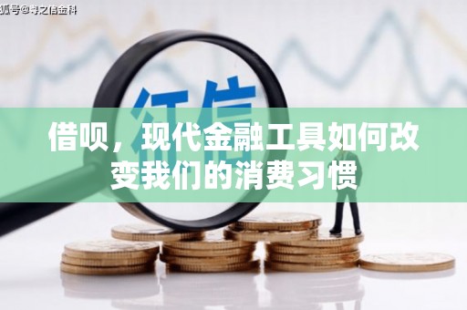 汉源借呗，现代金融工具如何改变我们的消费习惯