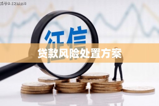 汉源贷款风险处置方案