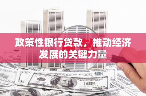 汉源政策性银行贷款，推动经济发展的关键力量