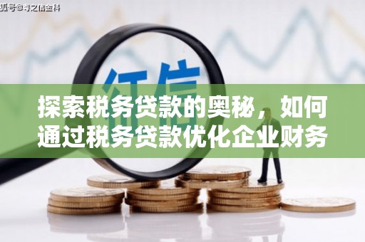 汉源探索税务贷款的奥秘，如何通过税务贷款优化企业财务