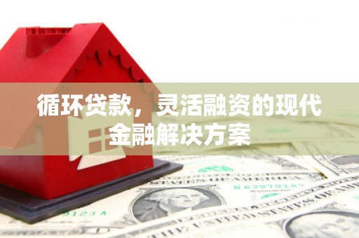 汉源循环贷款，灵活融资的现代金融解决方案