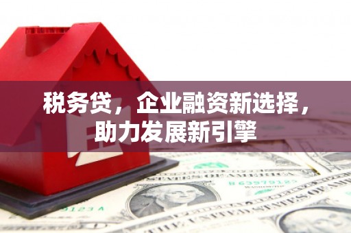 汉源税务贷，企业融资新选择，助力发展新引擎