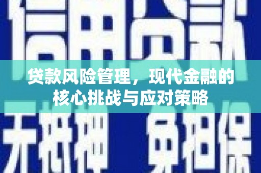 汉源贷款风险管理，现代金融的核心挑战与应对策略