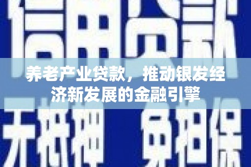 汉源养老产业贷款，推动银发经济新发展的金融引擎