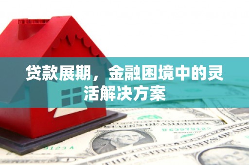 汉源贷款展期，金融困境中的灵活解决方案