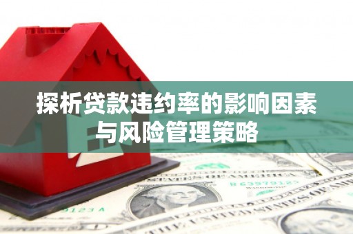 汉源探析贷款违约率的影响因素与风险管理策略