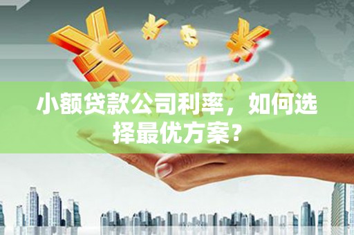 汉源小额贷款公司利率，如何选择最优方案？