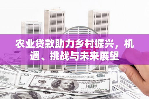 汉源农业贷款助力乡村振兴，机遇、挑战与未来展望