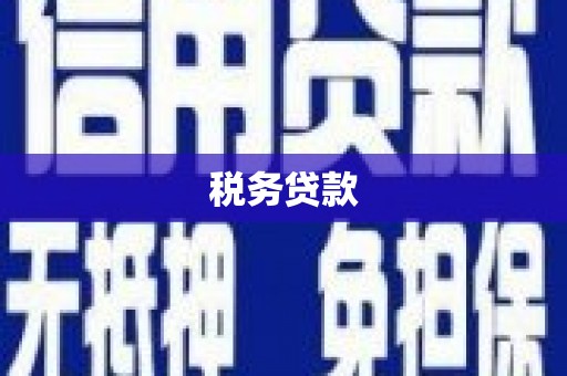汉源税务贷款