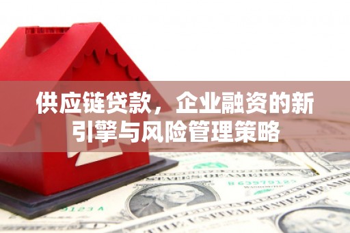 汉源供应链贷款，企业融资的新引擎与风险管理策略