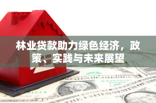 汉源林业贷款助力绿色经济，政策、实践与未来展望