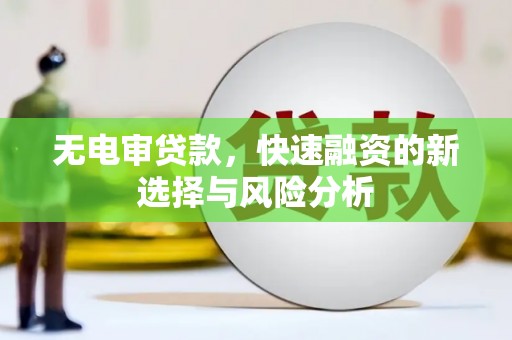 汉源无电审贷款，快速融资的新选择与风险分析