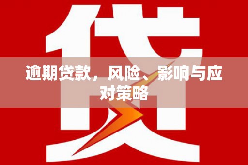 汉源逾期贷款，风险、影响与应对策略