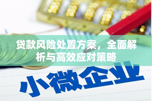 汉源贷款风险处置方案，全面解析与高效应对策略