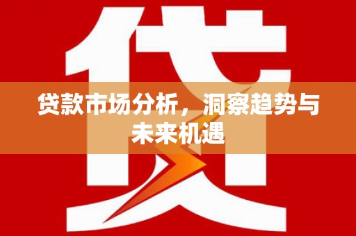 汉源贷款市场分析，洞察趋势与未来机遇