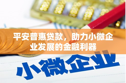 汉源平安普惠贷款，助力小微企业发展的金融利器