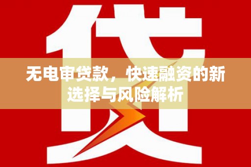 汉源无电审贷款，快速融资的新选择与风险解析
