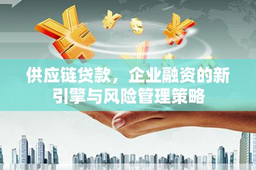 汉源供应链贷款，企业融资的新引擎与风险管理策略