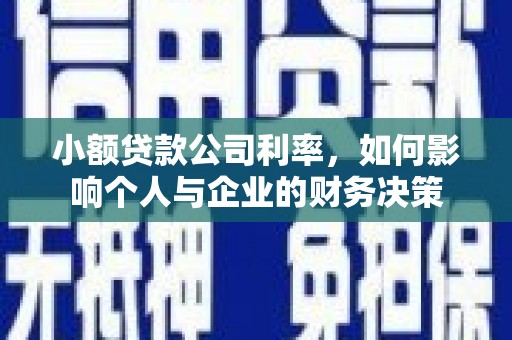 汉源小额贷款公司利率，如何影响个人与企业的财务决策