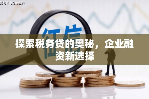 汉源探索税务贷的奥秘，企业融资新选择