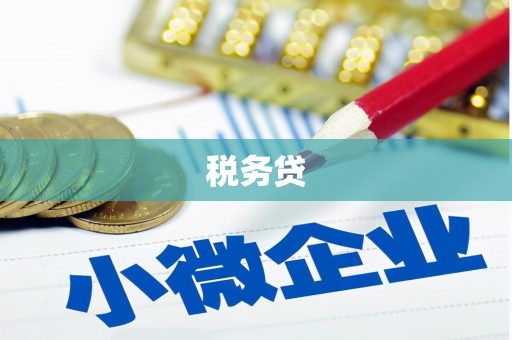 汉源税务贷