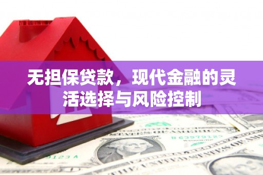 汉源无担保贷款，现代金融的灵活选择与风险控制