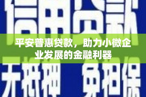 汉源平安普惠贷款，助力小微企业发展的金融利器