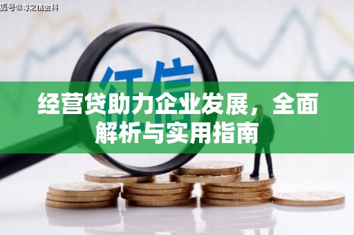 汉源经营贷助力企业发展，全面解析与实用指南