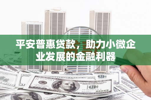 汉源平安普惠贷款，助力小微企业发展的金融利器