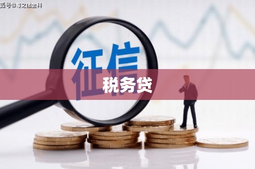 汉源税务贷