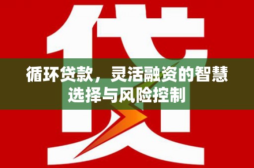 汉源循环贷款，灵活融资的智慧选择与风险控制